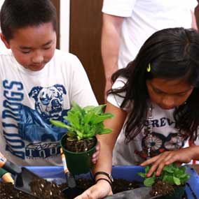 Students planting